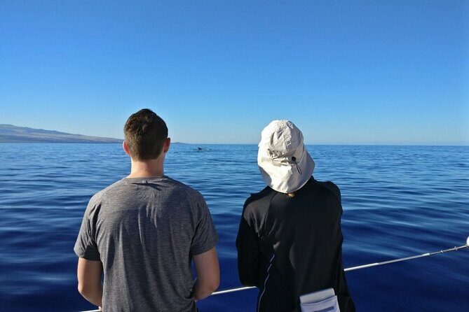 Wake Up With the Whales Cruise from Anaeho'omalu Bay - Who Will Love This Tour?