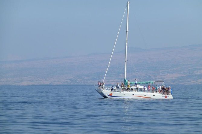 Wake Up With the Whales Cruise from Anaeho'omalu Bay - FAQ