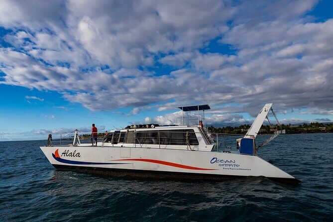 Wake up with the Whales Cruise from Kawaihae Harbor - An Up-Close Look at Wake up with the Whales Cruise