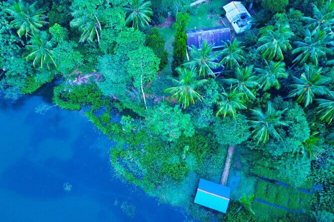 Walawe Palm Safari Udawalawe - Key Points