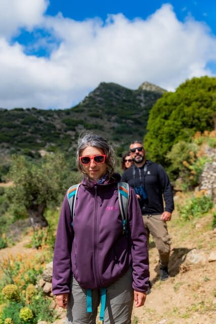 Walk among the olive trees (Small group experience) - Exploring Greece’s Olive Groves: A Genuine, Relaxed Adventure