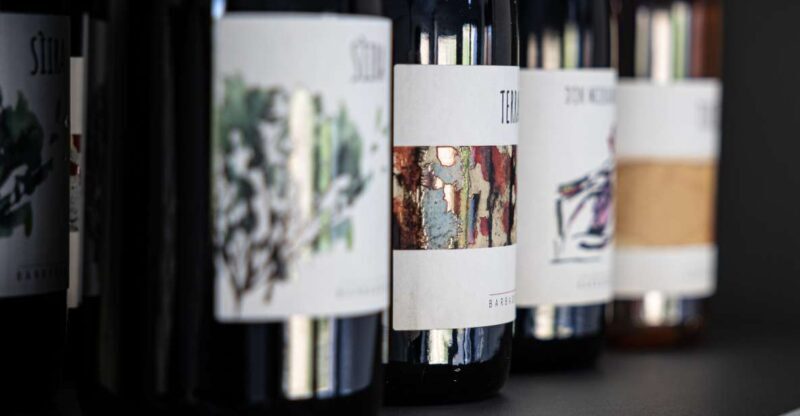 Walk among the rows of vineyards and wine tasting - The Experience in Detail