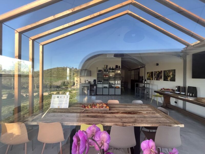 Walk among the rows of vineyards and wine tasting - Final Thoughts