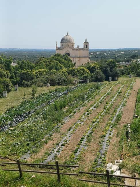 Walk and Aperitif in the Secret Gardens of Ostuni - Final Thoughts