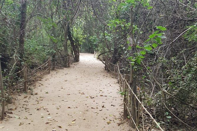 Walk And Snorkel In The National Park HT - FAQ