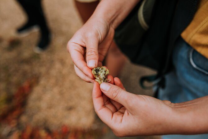 Walk at Lake Monjinup - Walk at Lake Monjinup: A Gentle Stroll Through Western Australia’s Natural Beauty