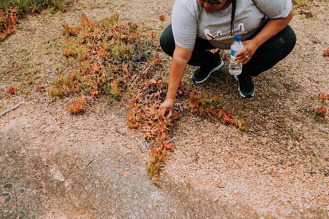 Walk at Lake Monjinup - Key Points