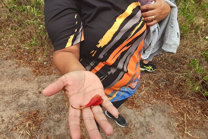 Walk at Lake Monjinup - FAQs