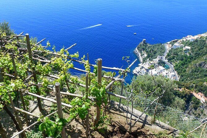 Walk, Cook and Eat on the Amalfi Coast - Final Thoughts