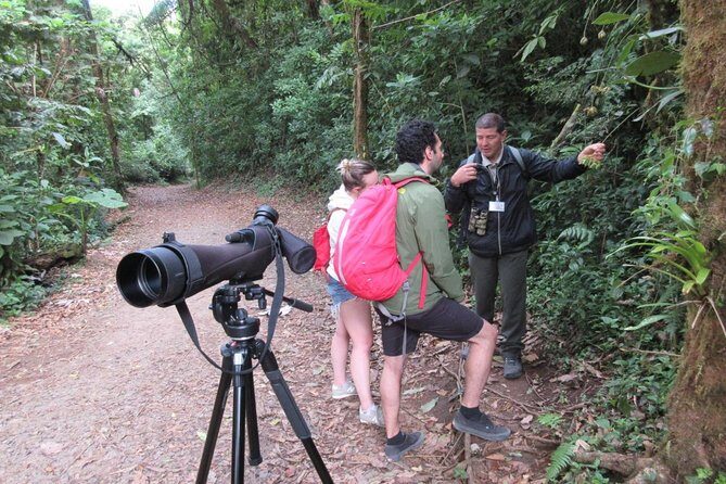 Walk in Santa Elena Cloud Forest Reserve - Key Points