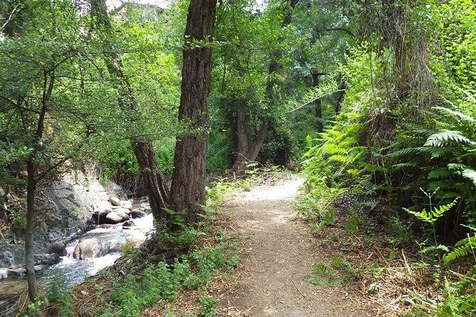 Walk on Artemis trail and in Old Kakopetria - An In-Depth Look at the Tour Experience