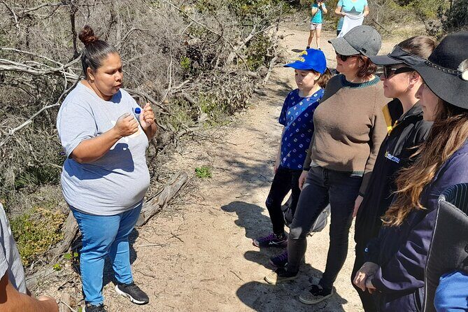 Walk on Country at Taananeditj (Rotary Lookout) - Walking on Country: Learning about Nyungar Land and Language
