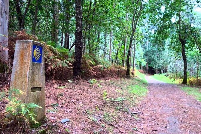 Walk The Camino&Santiago de Compostela Private SHORE Tour - Why Choose This Tour?