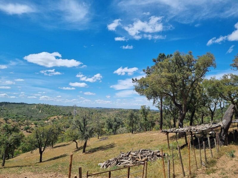 Walk through Hills With a Local Goat Herder and Their Goats - What to Expect on the Tour