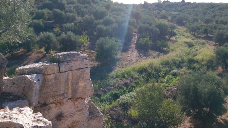 Walk through Lama S.Croce: Between Trulli and Olive Trees - Why This Tour Offers Genuine Value