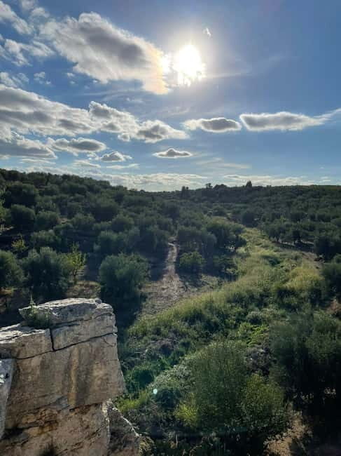 Walk through Lama S.Croce: Between Trulli and Olive Trees - FAQs About the Lama S.Croce Tour