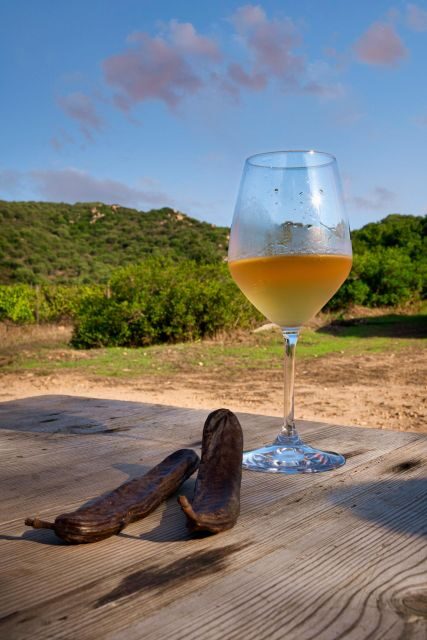 Walk through our vineyard and aperitif - Walk through Our Vineyard and Aperitif in Sardinia