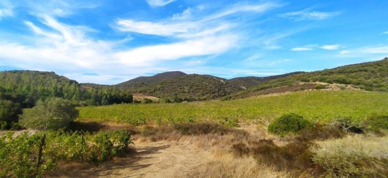Walk through our vineyard and aperitif - Key Points