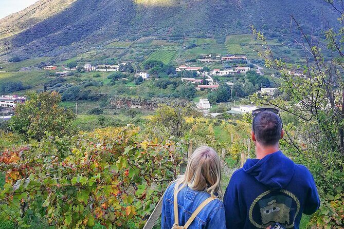 Walk through vineyards, breathtaking views and flavors of Salina - Exploring Salinas Vineyards and Flavors: A Detailed Review