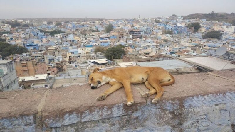 walk to bluecity heritage tour - FAQ