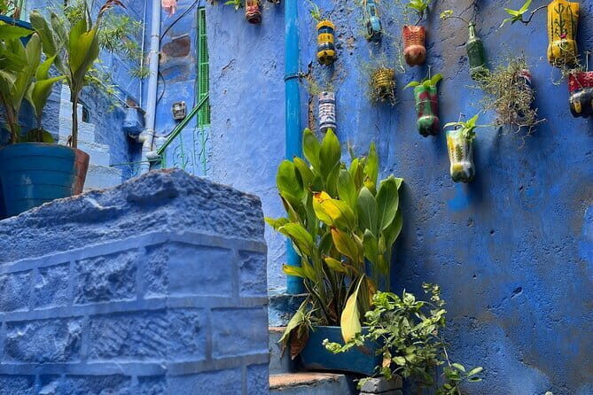 Walk To bluecity tour with guide - Key Points