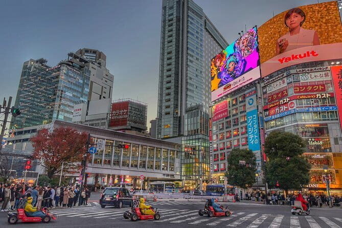 Walk Tokyo's Streets with Tokyo Midtown Tour - Who Will Love This Tour?