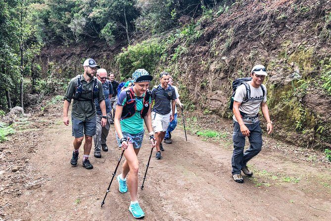 Walk with a local - The Detailed Itinerary