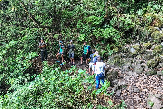 Walk with a local - Authentic Experiences and Genuine Value