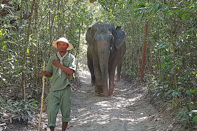 Walk with the Elephants by Cambodiajeep - Key Points