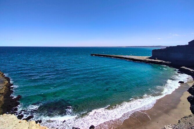 Walk with the Penguins in Punta Tombo for Cruisers in private - Authentic Feedback from Past Travelers