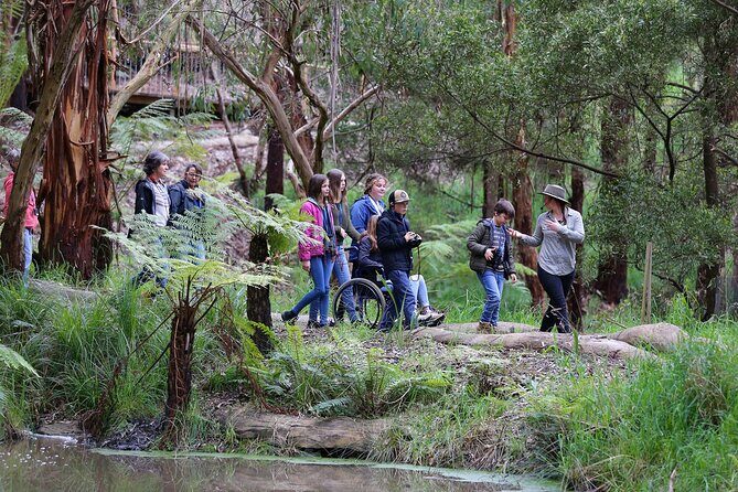 Walk with Wildlife: Guided Tour in Great Ocean Road - A Detailed Look at the Experience