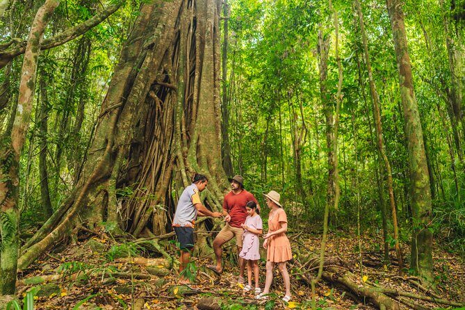 Walkabout Cultural Adventures - Ngana Julaymba Dungay Full Day - Who Will Enjoy This Tour?