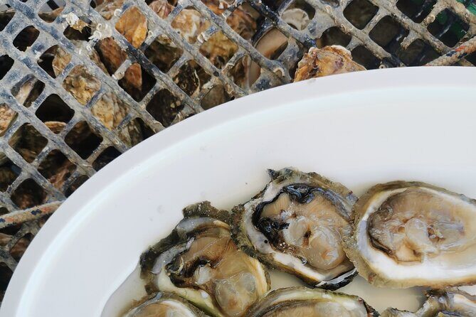 Walking & boat tour - visit Ston Walls and taste shells on farm - FAQ