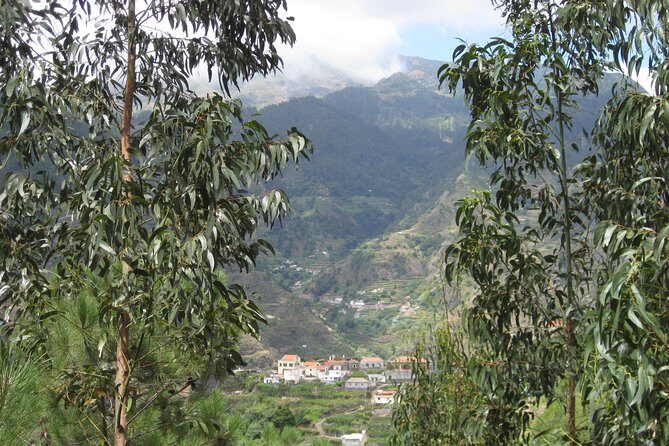 Walking Experience in the Serra D'Água Valley - Key Points