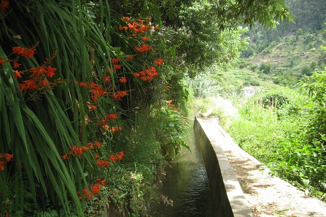 Walking Experience in the Serra D'Água Valley - Who Should Consider This Tour?