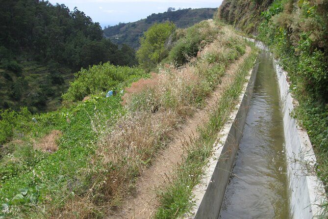 Walking Experience in the Serra D'Água Valley - Final Thoughts