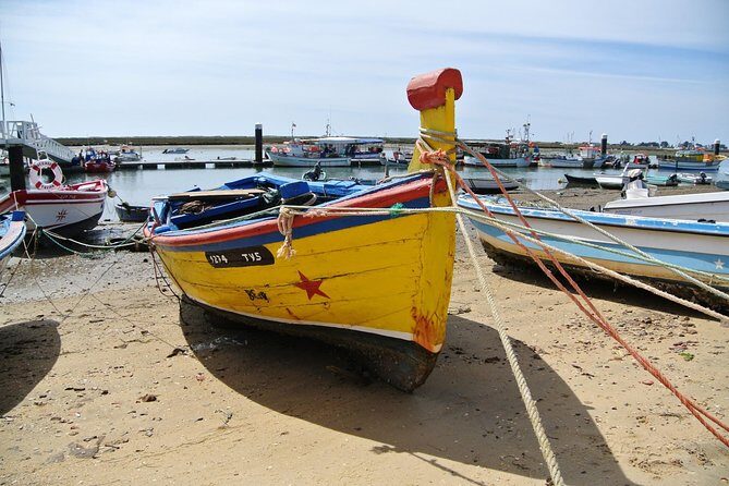 Walking in Tavira: The Venice Of Algarve - Who Is This Tour Best For?