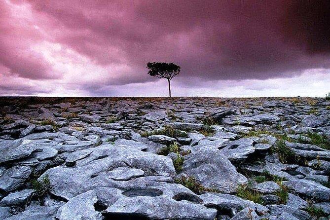 Walking in the Burren with perfumery visit. Clare. Guided 3 hours - An In-Depth Look at the Burren Walking Tour with Perfume Visit