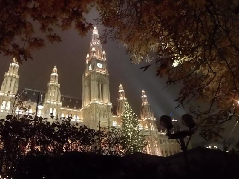 Walking on the historical trail of Viennese Christmas Trees - A Closer Look at the Tour Experience