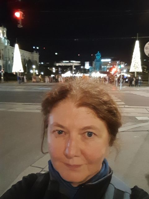 Walking on the historical trail of Viennese Christmas Trees - Who Should Consider This Tour?