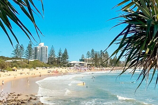 Walking Photography Tours of Mooloolaba and Alexandra Headland - Key Points