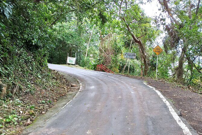Walking the Cerro Ancón: Nature and Unique Panoramics - Who Should Consider This Tour?
