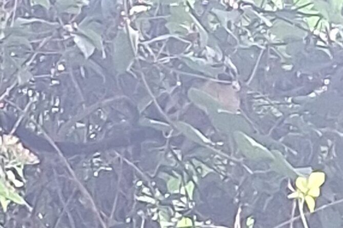 Walking the Cerro Ancón: Nature and Unique Panoramics - Frequently Asked Questions