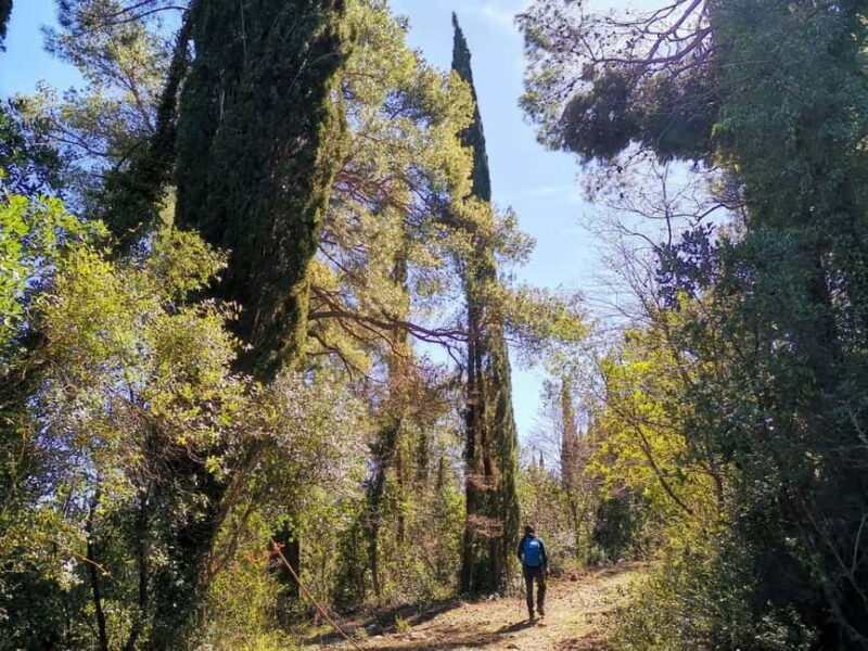Walking Through Ancient Konavle Villages with a Tasty Finish - Key Points