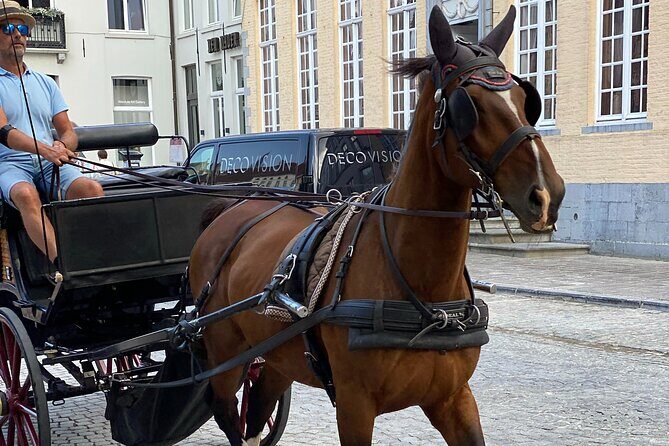 Walking Tour Bruges: Exciting Stories, Mysteries, People - Who Will Love This Tour?