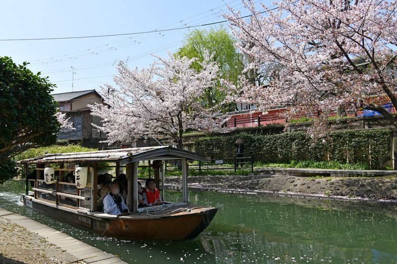 Walking tour exploring the sake-brewing town of Fushimi (Kyoto) - Who will get the most from this tour