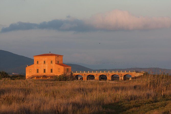 Walking tour in Diaccia Botrona - Experience the Hidden Charm of Diaccia Botrona in Tuscany