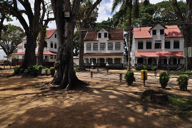 Walking Tour in Downtown Paramaribo - Who Will Enjoy This Tour?