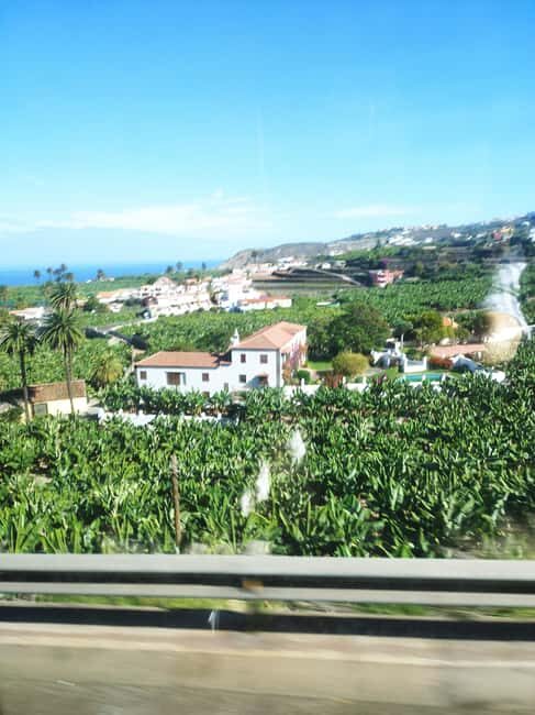 Walking tour in Garachico (1:30 h) - Final Thoughts on Value and Experience