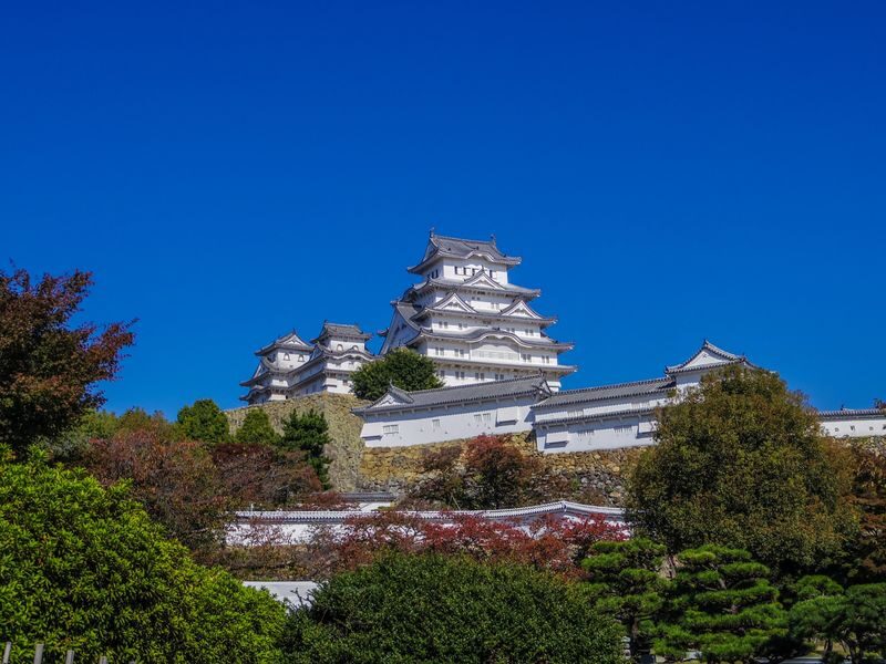 Walking Tour in Himeji: Castle, Garden and Aizome (Indigo Dyeing) - Koko-en: nine gardens and a quieter pace